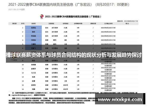 棒球联赛薪资体系与球员合同结构的现状分析与发展趋势探讨