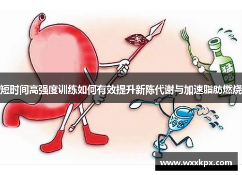 短时间高强度训练如何有效提升新陈代谢与加速脂肪燃烧