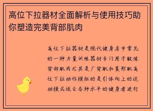 高位下拉器材全面解析与使用技巧助你塑造完美背部肌肉
